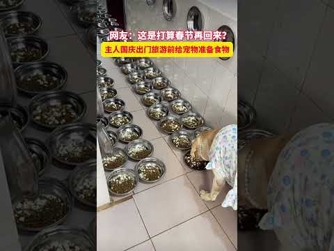 看着吃的，狗子有点懵圈…#dog #funny #wonderful #china