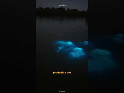 ÁGUA QUE BRILHA? #shorts