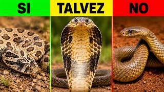 ¿Sobrevivirías a Estas Serpientes? 🐍