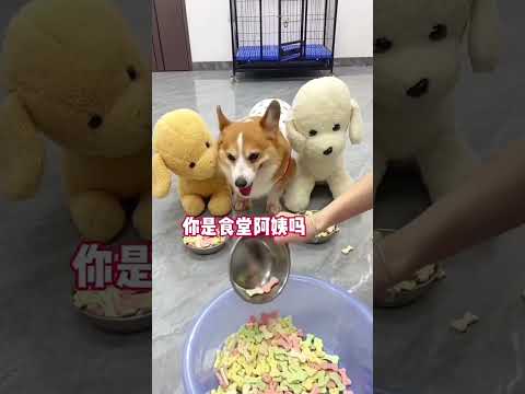 私は彼らを決して許さない😭😡