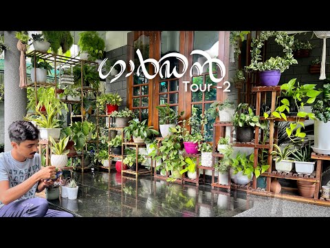 Garden Tour part -2 | സിറ്റൗട്ടിലെ ചെടികൾ 🌿