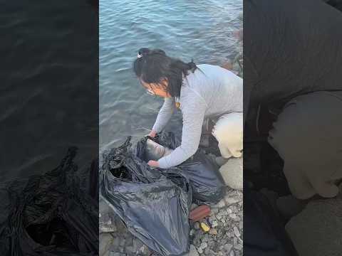 Pregnant Fish Set Free in the River! 🐠🌊
