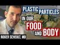 Understanding the Impact of Plastics