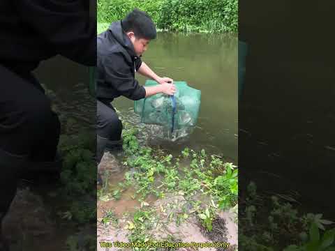 Smart fishing net! New fishing idea, Smart appliances, #shorts #fishing