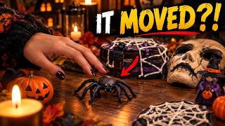 Halloween Aesthetic Decor LIVE