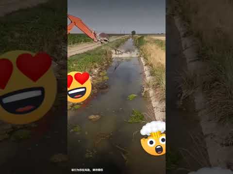 This behavior is risky, please do not imitate #Zero-based learning excavator