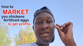 How to MARKET you chickens to get profits