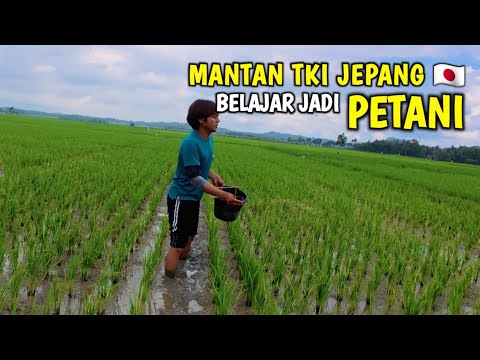 MANTAN TKI JEPANG SETELAH SATU BULAN DI RUMAH || BELAJAR JADI PETANI