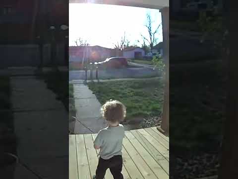 Toddler Returns Neighbor's Dog After It Got Loose
