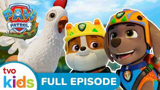 Pups Save the Dino Chicken 🦖🐓 | 🦕 PAW Patrol Dino Island 🏝️ | Season 13 | Full Episode | TVOkids