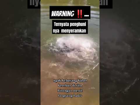 Sungguh menyeramkan guys‼️