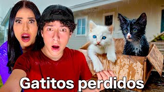 ENCONTRÉ GATITOS EN NUESTRA PUERTA 🥺