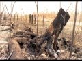 Квіз про відеоурок