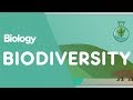 Exploring the Importance of Biodiversity in Ecology