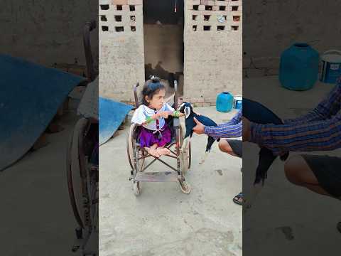 কথা না শুনলে কানের নিচে দেবো #shorts #comedy