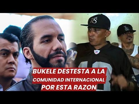 Bukele detesta a la comunidad internacional por esta razón