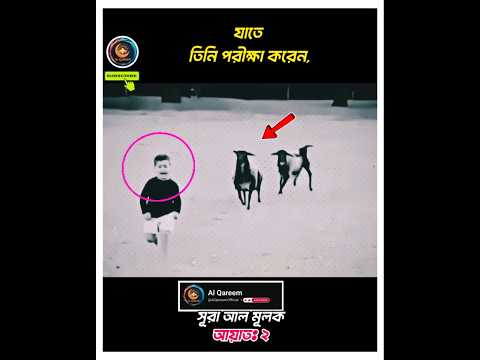 আল্লাহ সর্বোত্তম রক্ষাকারী! ☝️ভয় পেয়ো না! সাহায্য খুব নিকটে #shorts #quran #recitation #motivation