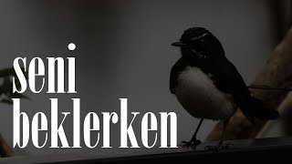 Seni Beklerken Bir Çiçeğe Su Verir Gibi | Emre Özdemir