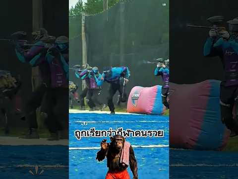 เพ้นท์บอลกีฬาคนรวย #ความรู้ #น่าสนใจ #facts #ความรู้