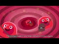 Understanding Blood Functions and Donations