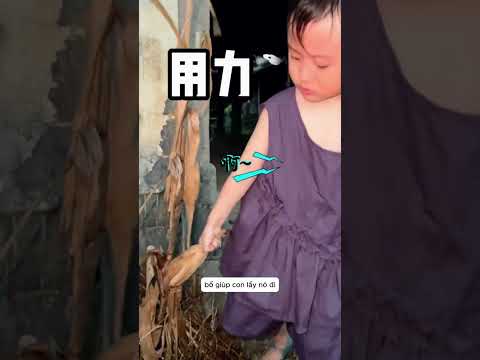 Bố Dẫn Con Gái Tham Quan Vườn Của Bà Nội
