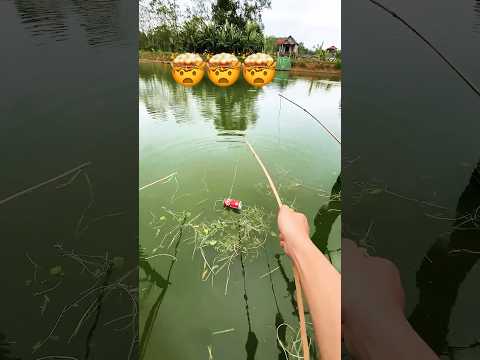 Lụm - MT Fishing  #mtfishing #fishing #cauca #fishingvideo