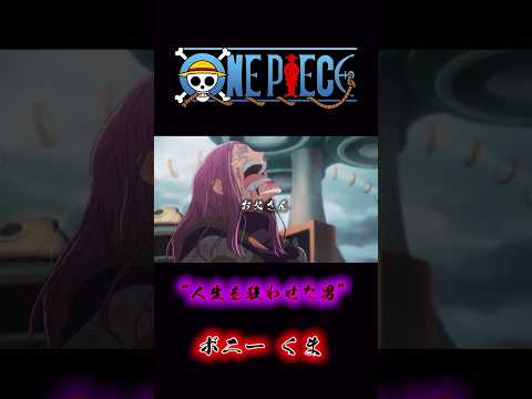 ONEPIECE “人生を狂わせた男” ボニー くま #onepiece #くま #ボニー #サターン聖