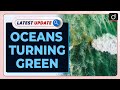 Phytoplankton and Ocean Changes