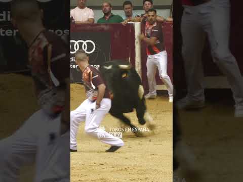 INCREÍBLE MARIO ALCAIDE