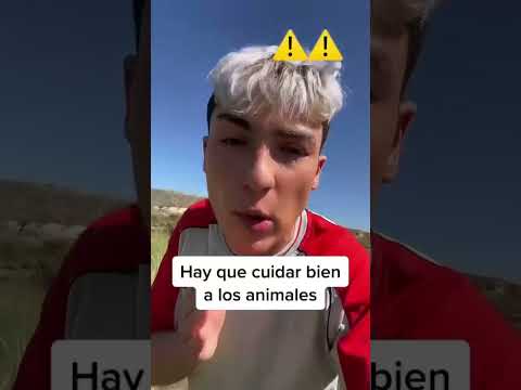 Encontré un perro en medio de un lago