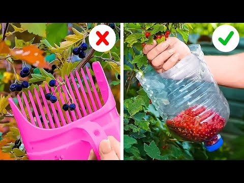 Gardening Crafts To Make Growing Fruits And Vegetables A Breeze