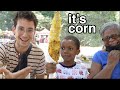 Corn Appreciation and Knowledge Assessment