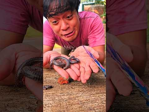 Found delicious candy on the street but ran away in fear seeing millipedes inside #shorts #viral