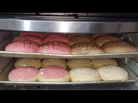 Un kilo de chonchas de panadería rinde para 24 piezas receta fácil de conchitas mexicanas