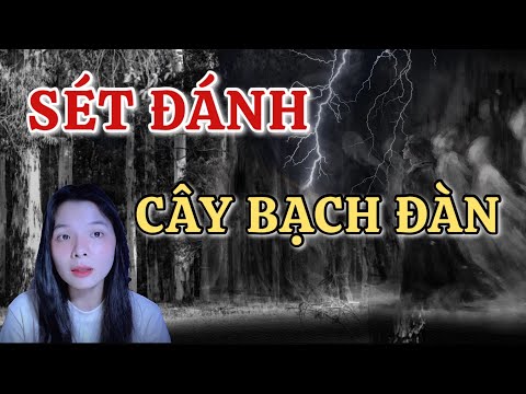 SÉT ĐÁNH CÂY BẠCH ĐẰNG | Tập 562| bị vong dẫn đường, kể chuyện người mất,..