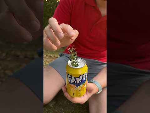 Survival skills: Lifehack for Survival in the wild forest 🌲🦟 #bushcraft  #outdoors #survival