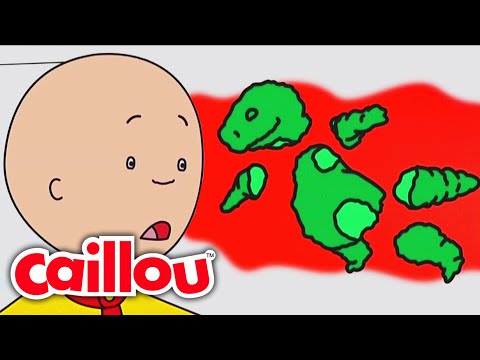Dağınık Sınıf | Caillou Türkçe - WildBrain | Çocuklar İçin Filmler