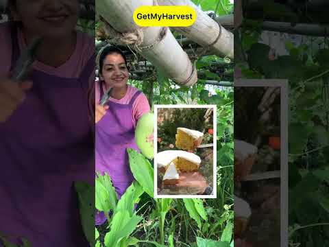 Baskets ho gayi khali aur mein ho gayi khush | Massive Harvest #shorts