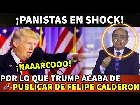 ¡PANISTAS EN SHOCK! TRUMP PRESENTA PRUEBAS CONTRA FELIPE CALDERON