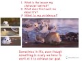 Identifying Themes and Life Lessons