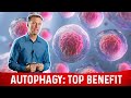Understanding Autophagy and Its Benefits