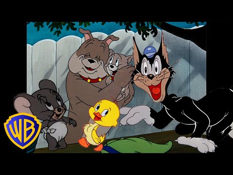 Tom y Jerry en Español 🇪🇸 | ¡Los mejores personajes secundarios! 🐣🐶 | WB Kids España​