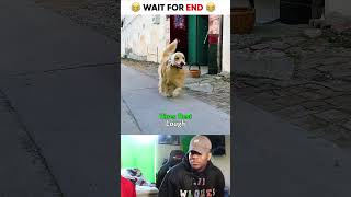 Wait for end 😂2548 #vinesbestlaugh #shorts #shortvideo  #youtubeshorts #funny #viral #trending