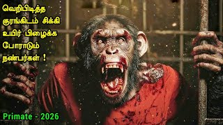 குடும்பத்தையே வச்சி செய்யும் குரங்கு | Tamil Hollywood Times | movie story explained in tamil