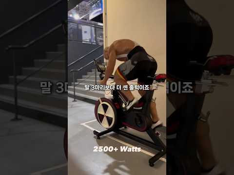 3대 500이하 픽시 금지?