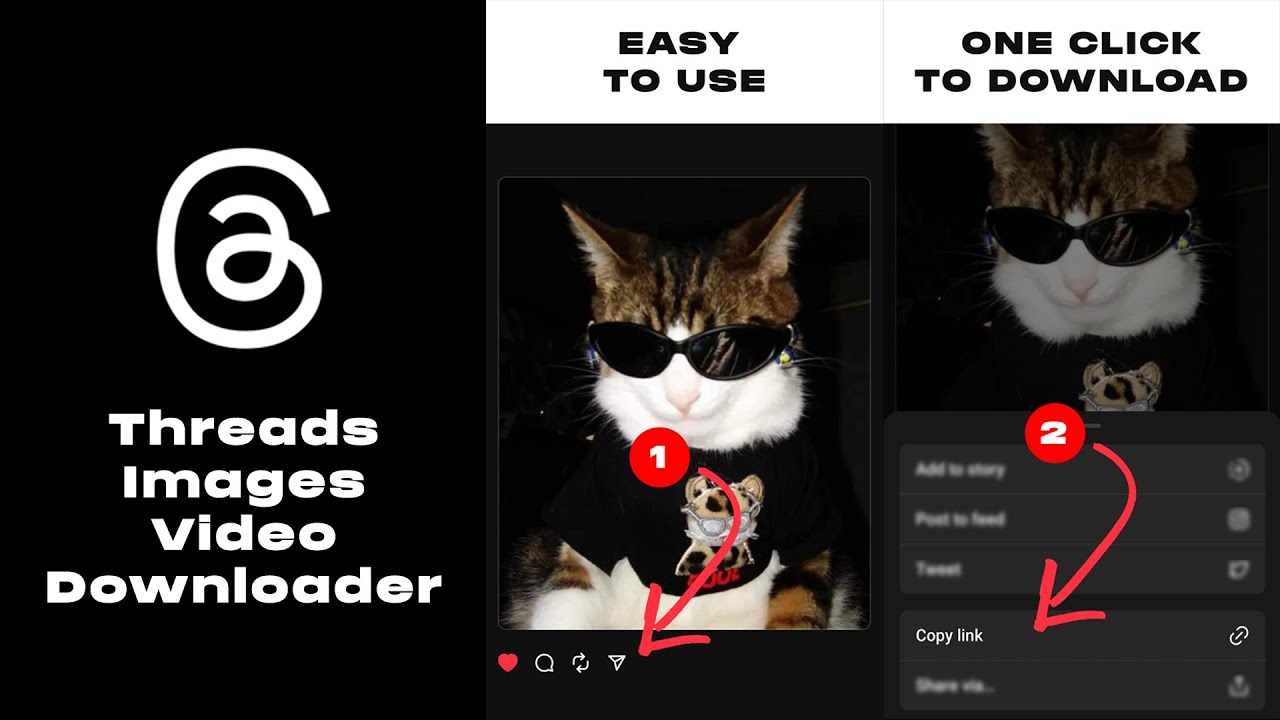 Can You Download Threads Photos  2026