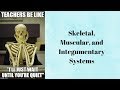 Human Anatomy and Physiology Concepts