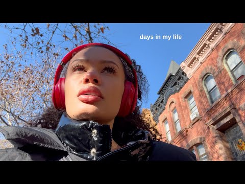 winter in new york, apartment hunting, toni morrison