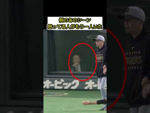 例のあのシーン怒ってる人がもう一人いたと話題 #プロ野球 #野球 #阪神タイガース