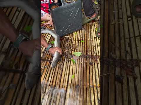 Fish Trap 2 #provincelife  #fishing  #fish  #trending